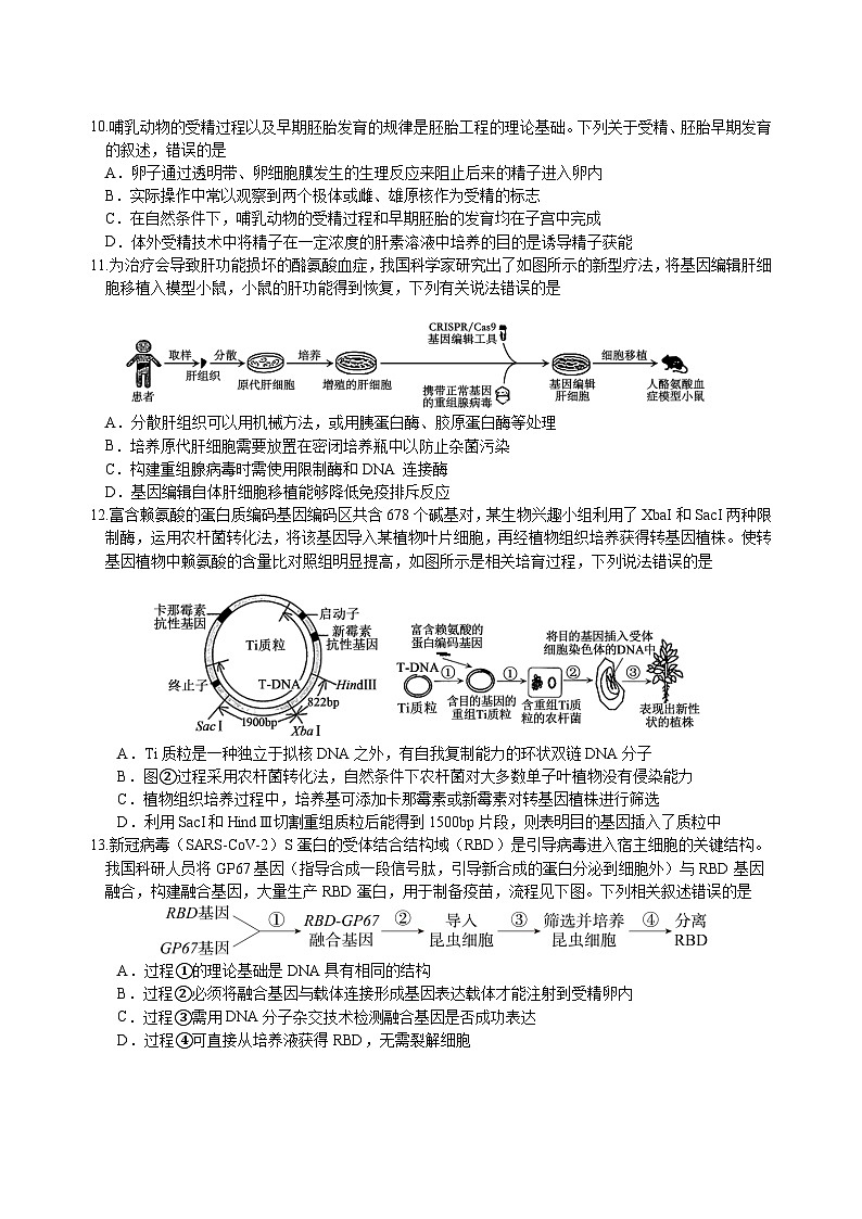 四川省绵阳外国语学校2024-2025学年高二下学期期末模拟考试生物试卷（Word版附解析）第3页