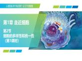 1.2 细胞的多样性和统一性 第1课时（教学课件）-2025-2026学年高中生物必修1（人教版2019）