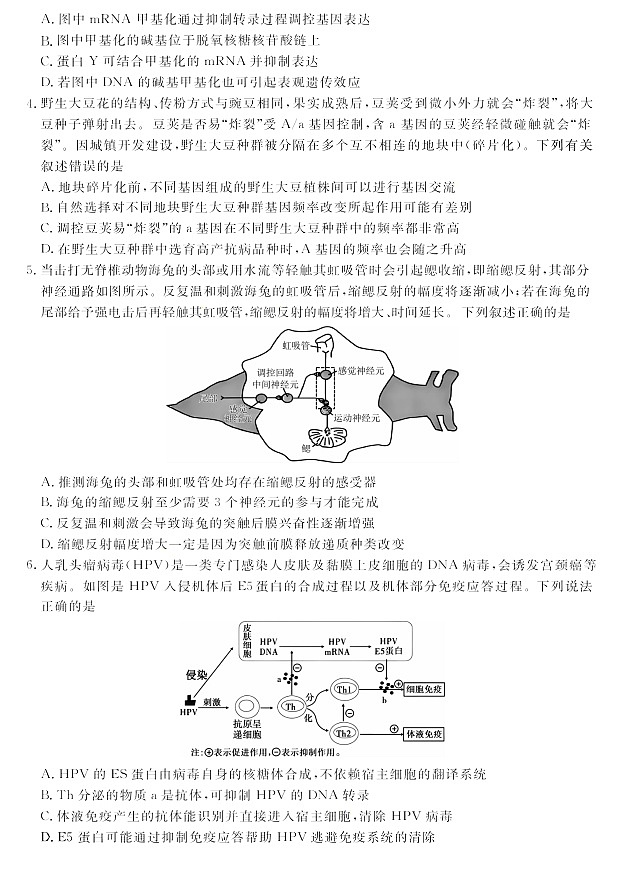 河南省2024-2025学年高二下学期期末多校联考考试生物学试卷第2页