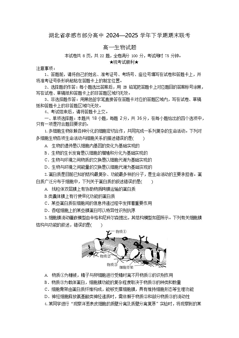 湖北省孝感市高中2024-2025学年高一下学期7月期末联考生物学试卷第1页