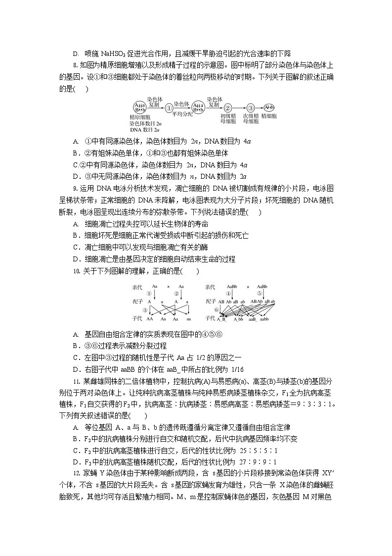 湖北省孝感市高中2024-2025学年高一下学期7月期末联考生物学试卷第3页