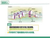 2.3 物質(zhì)進(jìn)出細(xì)胞的運(yùn)輸方式 第1課時(shí)（教學(xué)課件）-2025-2026學(xué)年高中生物必修1（蘇教版2019）