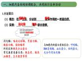 2.5 細(xì)胞在結(jié)構(gòu)和功能上是一個(gè)統(tǒng)一整體（教學(xué)課件）-2025-2026學(xué)年高中生物必修1（浙科版2019）