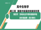 3.4 影響光合作用和細(xì)胞呼吸的環(huán)境因素 第2課時（教學(xué)課件）-2025-2026學(xué)年高中生物必修1（蘇教版2019）