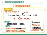 3.4 影響光合作用和細(xì)胞呼吸的環(huán)境因素 第2課時（教學(xué)課件）-2025-2026學(xué)年高中生物必修1（蘇教版2019）