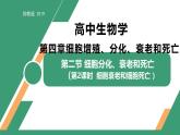 4.2 細(xì)胞分化、衰老和死亡 第2課時（教學(xué)課件）-2025-2026學(xué)年高中生物必修1（蘇教版2019）