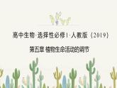人教版高中生物選修1《第五章 植物生命活動的調(diào)節(jié)（單元解讀）》課件