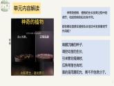 人教版高中生物選修1《第五章 植物生命活動的調(diào)節(jié)（單元解讀）》課件