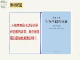 人教版高中生物選修1《第五章 植物生命活動的調(diào)節(jié)（單元解讀）》課件