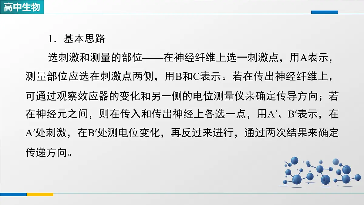 人教版高中生物选修1 2-3《兴奋传导和传递特点的实验探究》课件第2页