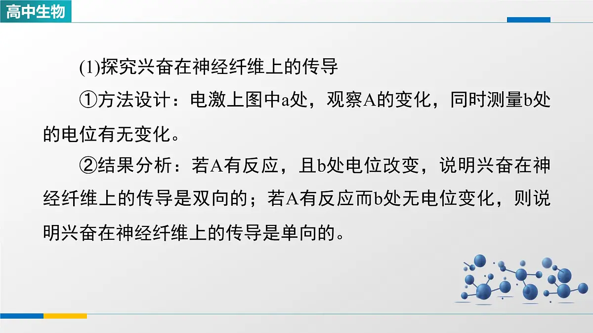 人教版高中生物选修1 2-3《兴奋传导和传递特点的实验探究》课件第4页