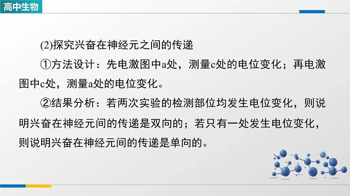人教版高中生物选修1 2-3《兴奋传导和传递特点的实验探究》课件第5页