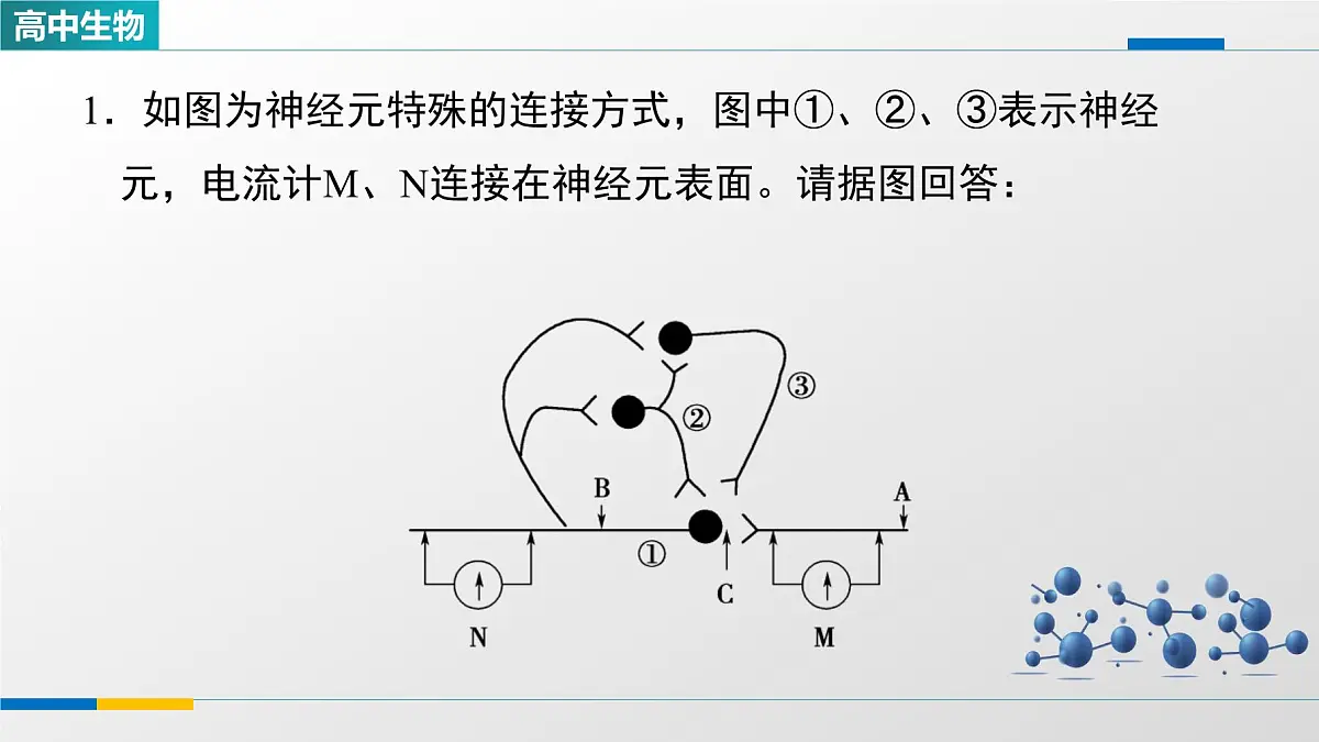 人教版高中生物选修1 2-3《兴奋传导和传递特点的实验探究》课件第6页
