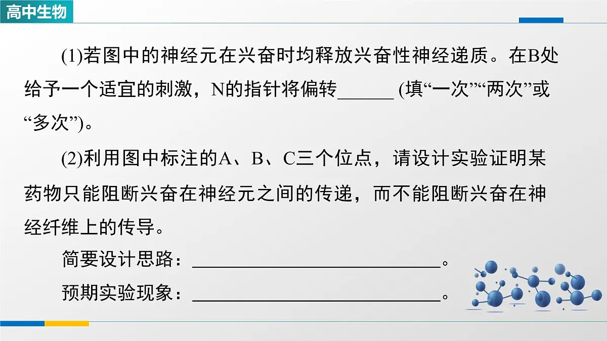 人教版高中生物选修1 2-3《兴奋传导和传递特点的实验探究》课件第7页
