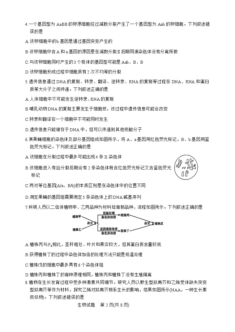河南部分学校20242025学年高三9月考试生物第2页