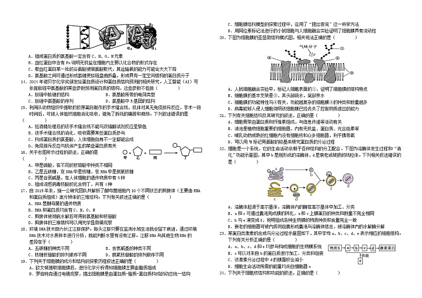 四川省南充市2024_2025学年高一生物上学期第二次月考12月试题第2页