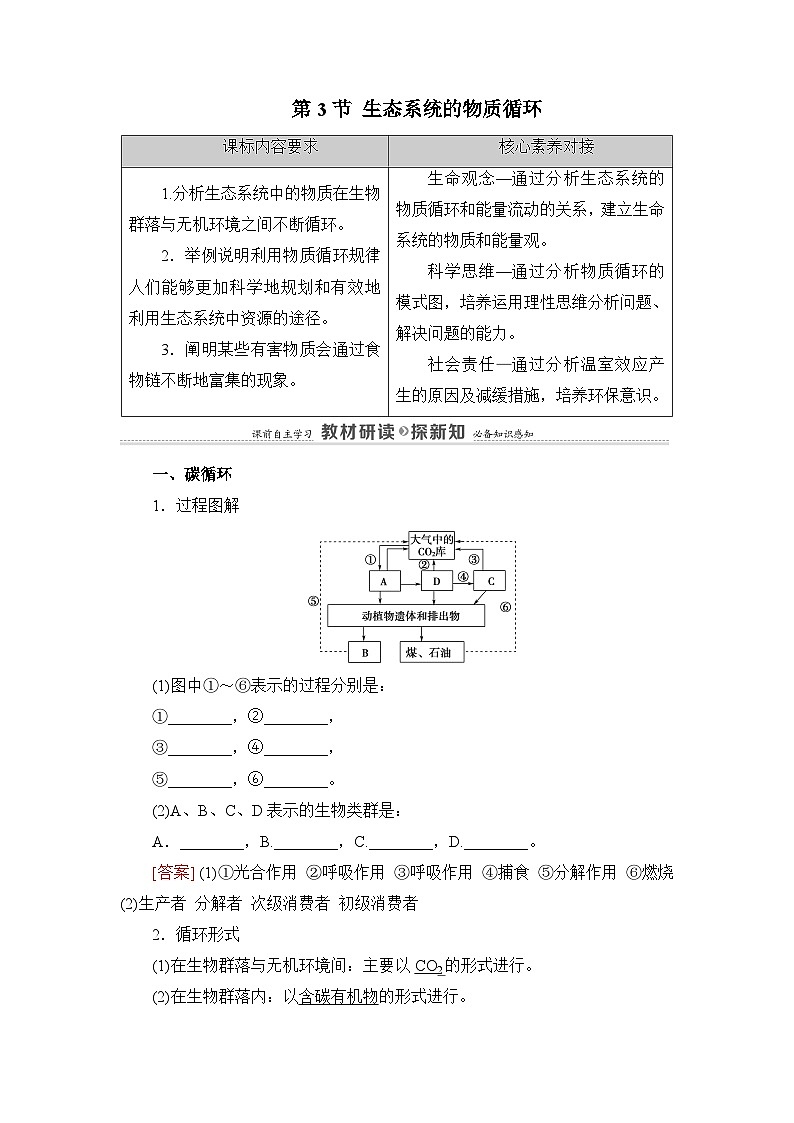 人教版高中生物选修2《3-3生态系统的物质循环》教案第1页