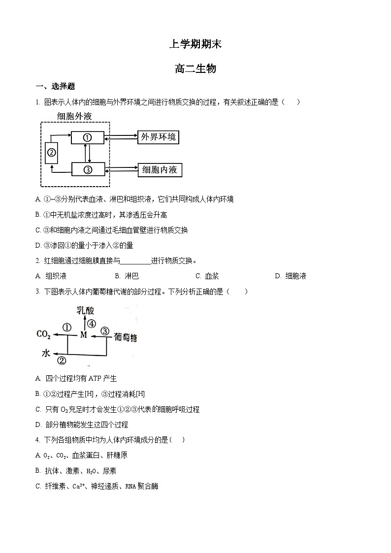 高二上学期期末人教版生物试题 （人教版高中生物选修2 无答案)第1页