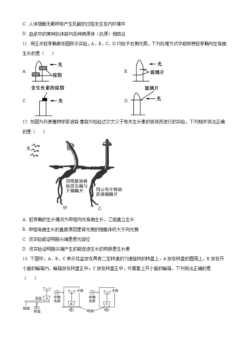 高二上学期期末人教版生物试题 （人教版高中生物选修2 无答案)第3页