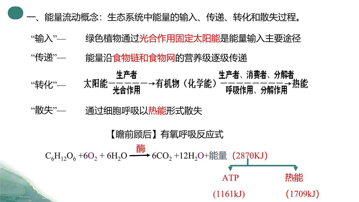 人教版高中生物选修2《3-2 生态系统的能量流动（第1课时）》课件第3页