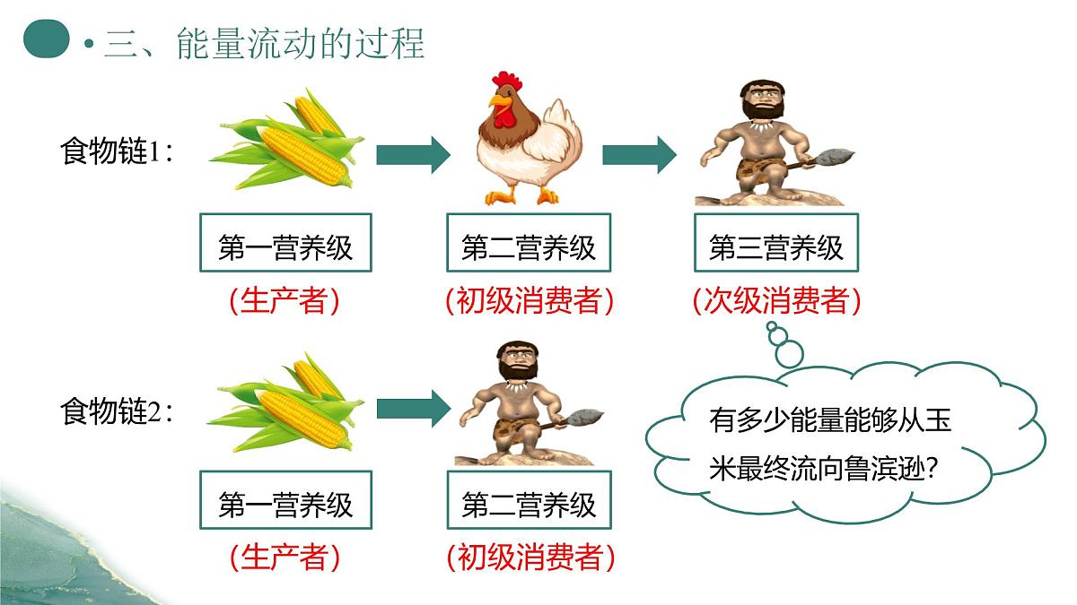 人教版高中生物选修2《3-2 生态系统的能量流动（第1课时）》课件第6页