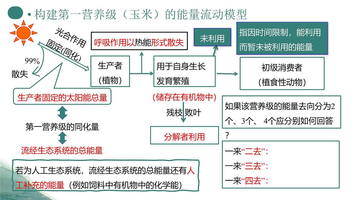 人教版高中生物选修2《3-2 生态系统的能量流动（第1课时）》课件第7页
