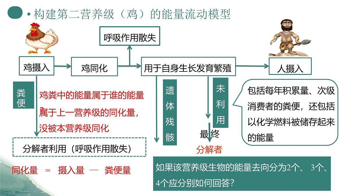 人教版高中生物选修2《3-2 生态系统的能量流动（第1课时）》课件第8页