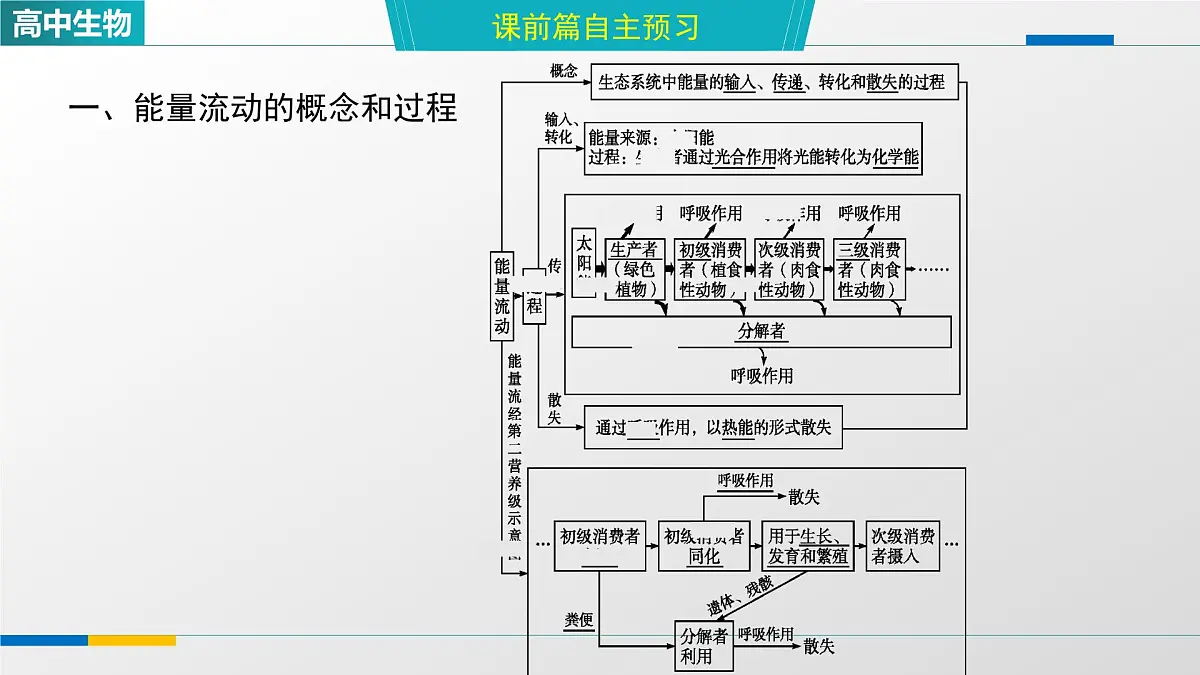 人教版高中生物选修2《3-2生态系统的能量流动》课件第3页