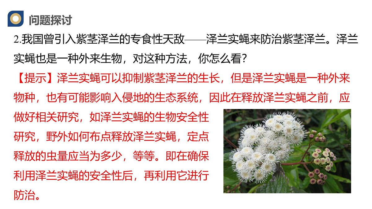 人教版高中生物选修2《3-5生态系统的稳定性》课件第4页