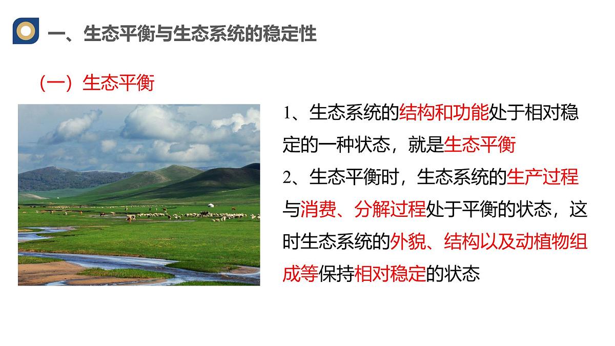 人教版高中生物选修2《3-5生态系统的稳定性》课件第6页