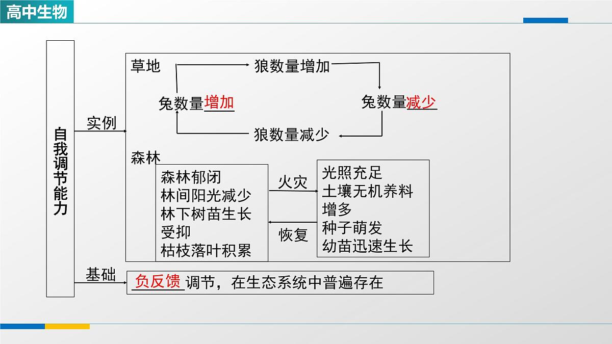 人教版高中生物选修2《3-5生态系统的稳定性》课件第4页