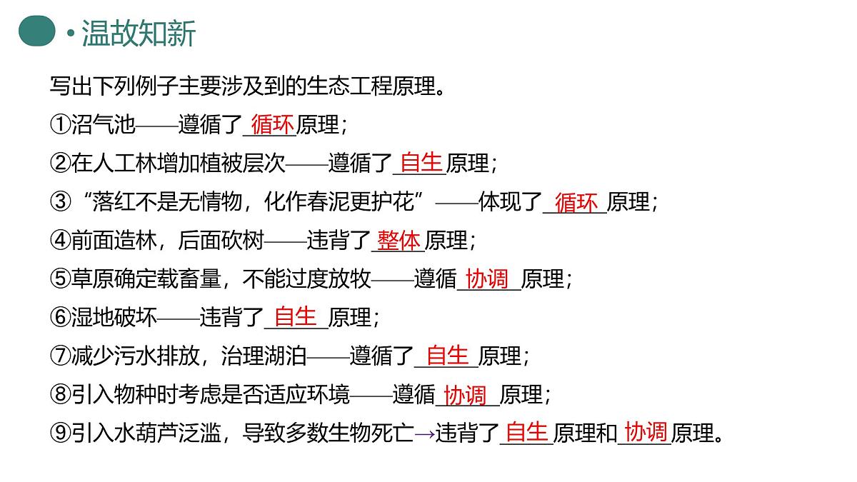 人教版高中生物选修2《4-3 生态工程（第2课时）》课件第3页