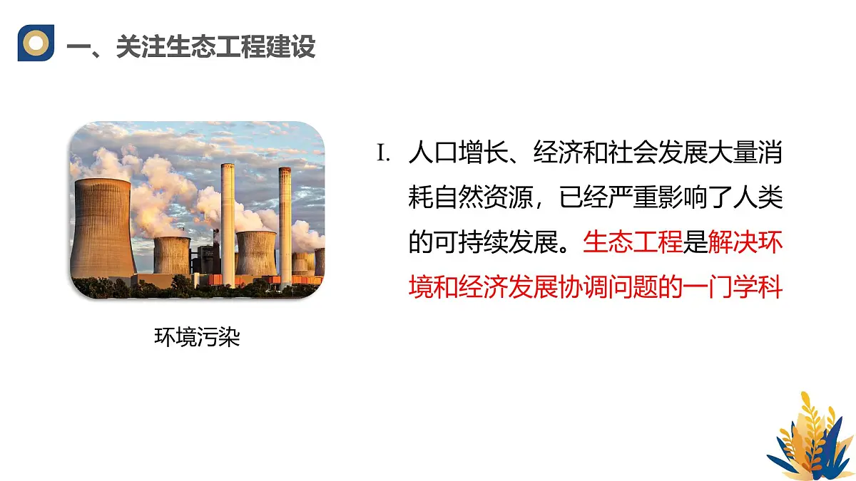 人教版高中生物选修2《4-3生态工程》课件第5页