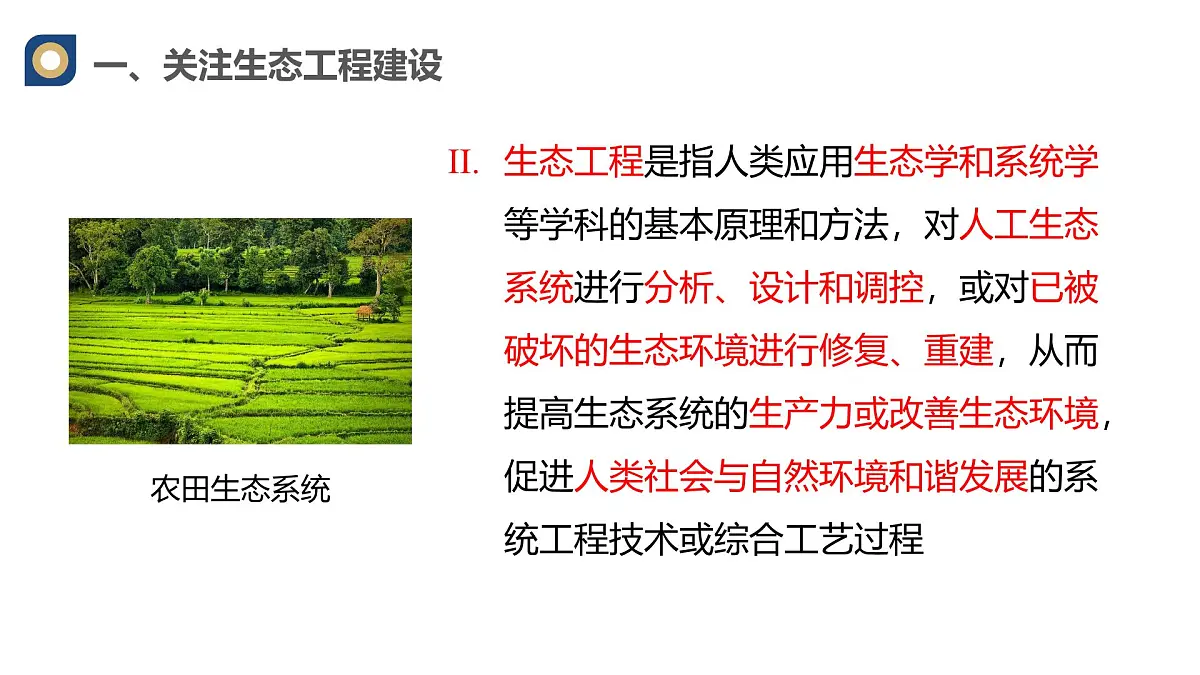 人教版高中生物选修2《4-3生态工程》课件第6页