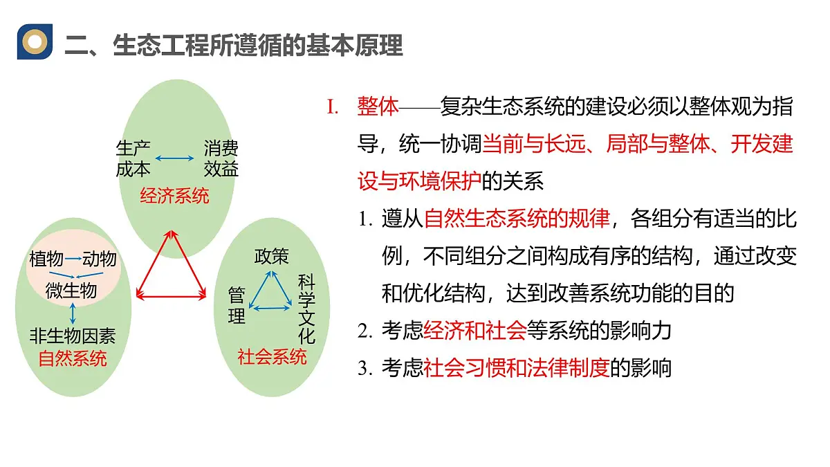 人教版高中生物选修2《4-3生态工程》课件第8页