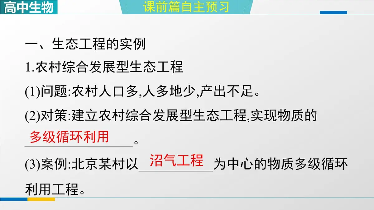 人教版高中生物选修2《4-3第2课时生态工程的实例和发展前景》课件第3页
