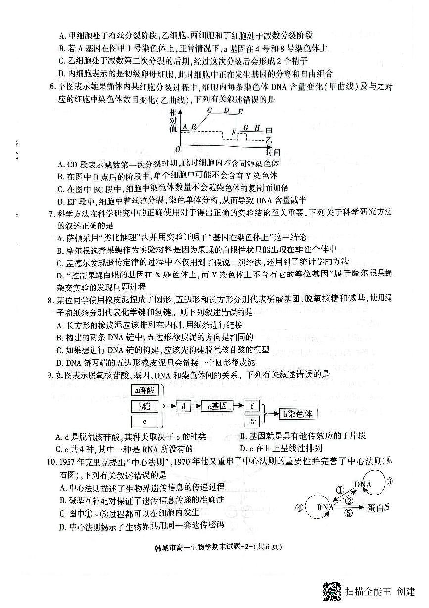2024-2025年度第二学期陕西省韩城市高一生物期末试题第2页