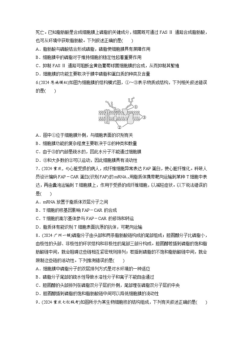 【备考2026】高考生物一轮复习资源：第2单元 课时练4 细胞膜与细胞核的结构和功能（课时精练）（学生版）第2页
