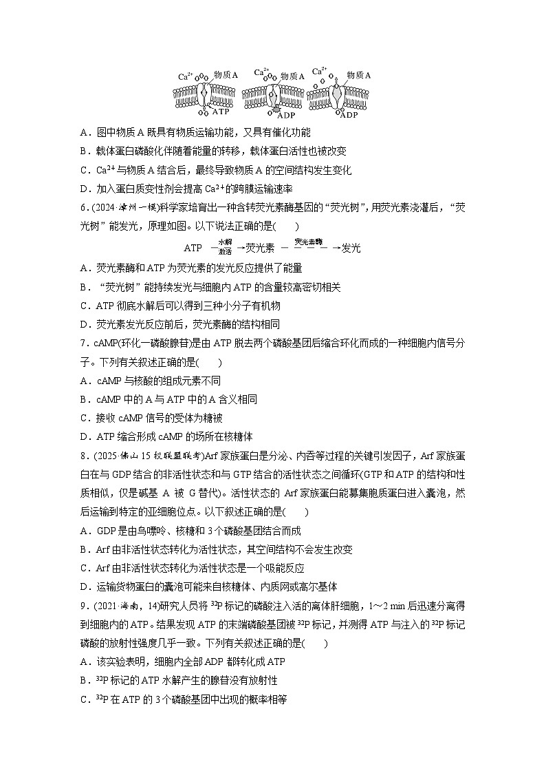 【备考2026】高考生物一轮复习资源：第3单元 课时练10 细胞的能量“货币”ATP（课时精练）（学生版）第2页