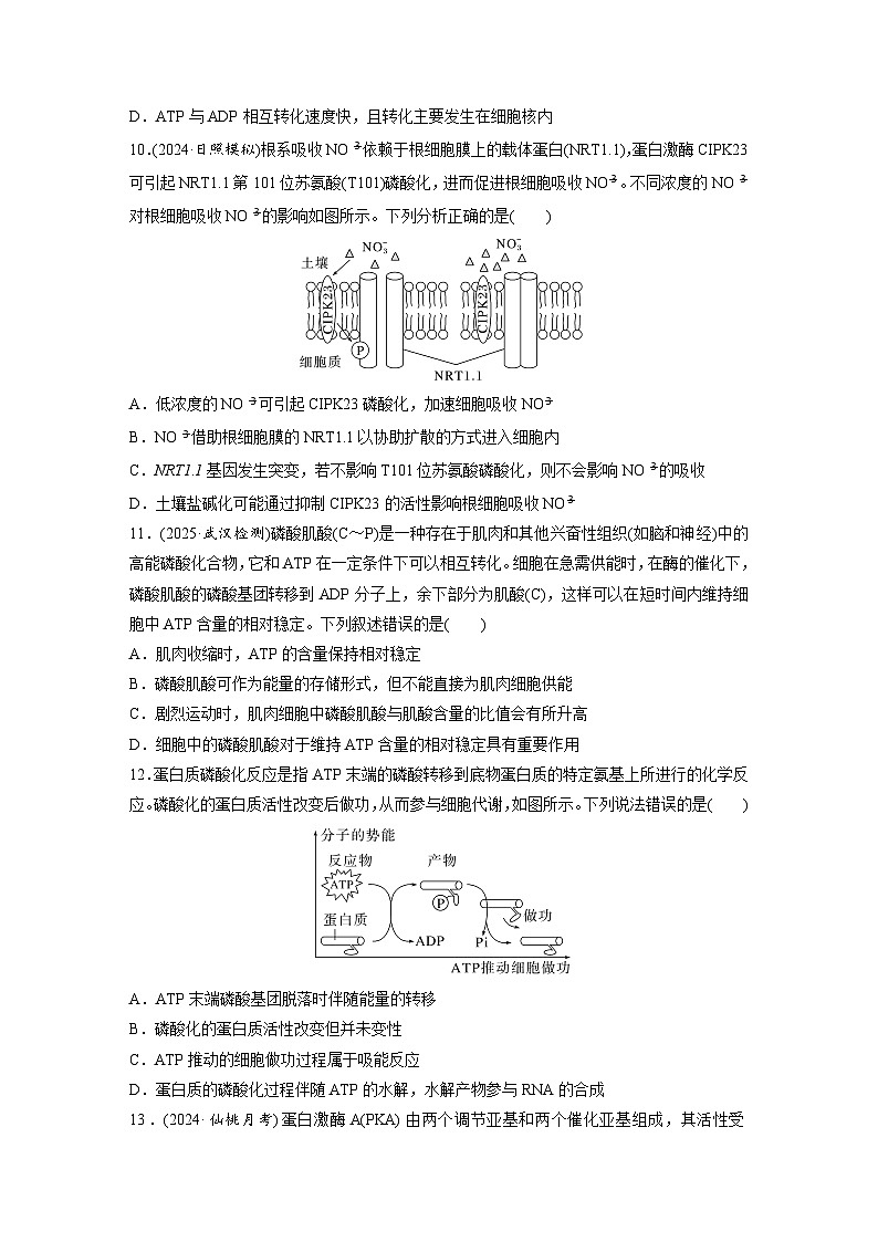 【备考2026】高考生物一轮复习资源：第3单元 课时练10 细胞的能量“货币”ATP（课时精练）（学生版）第3页