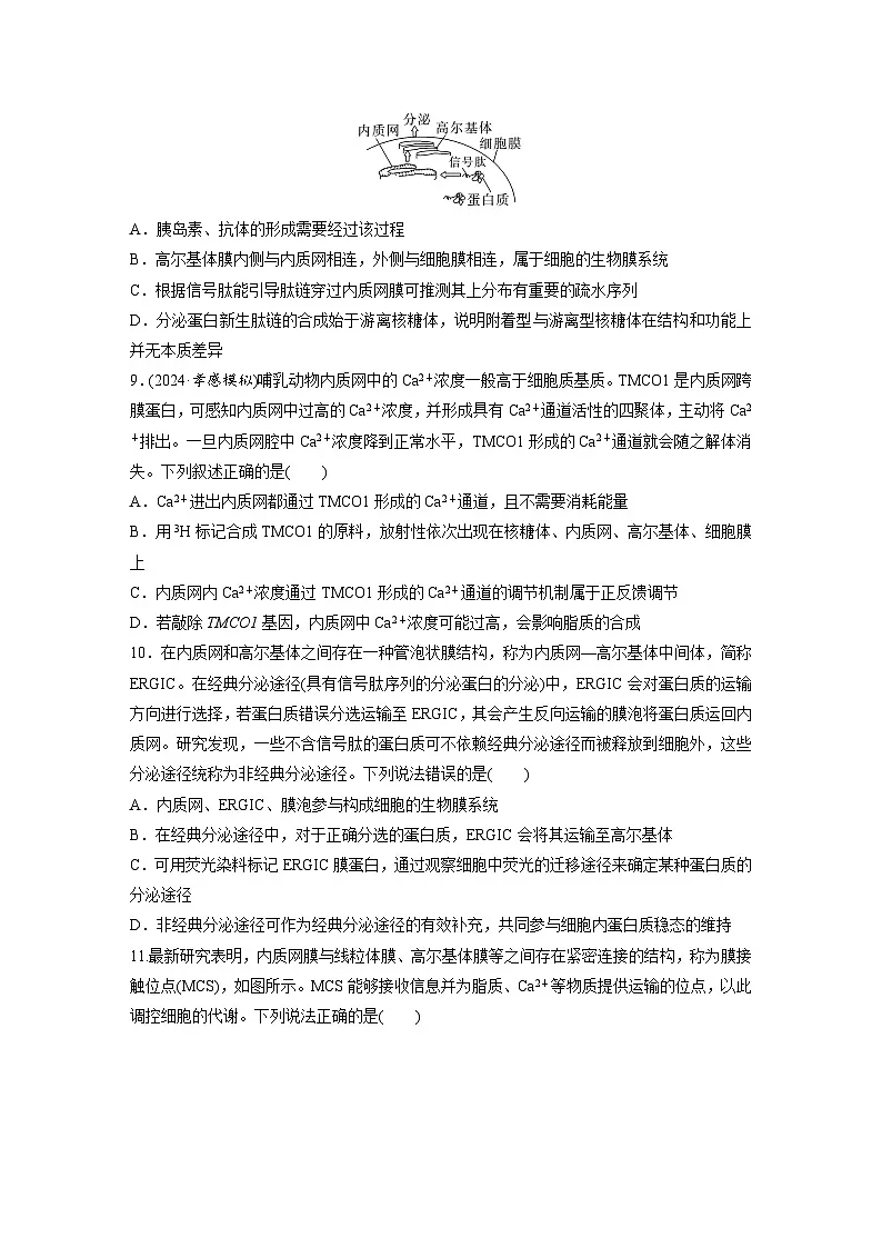 【备考2026】高考生物一轮复习资源：第2单元 课时练6 细胞器之间的协调配合（课时精练）（学生版）第3页