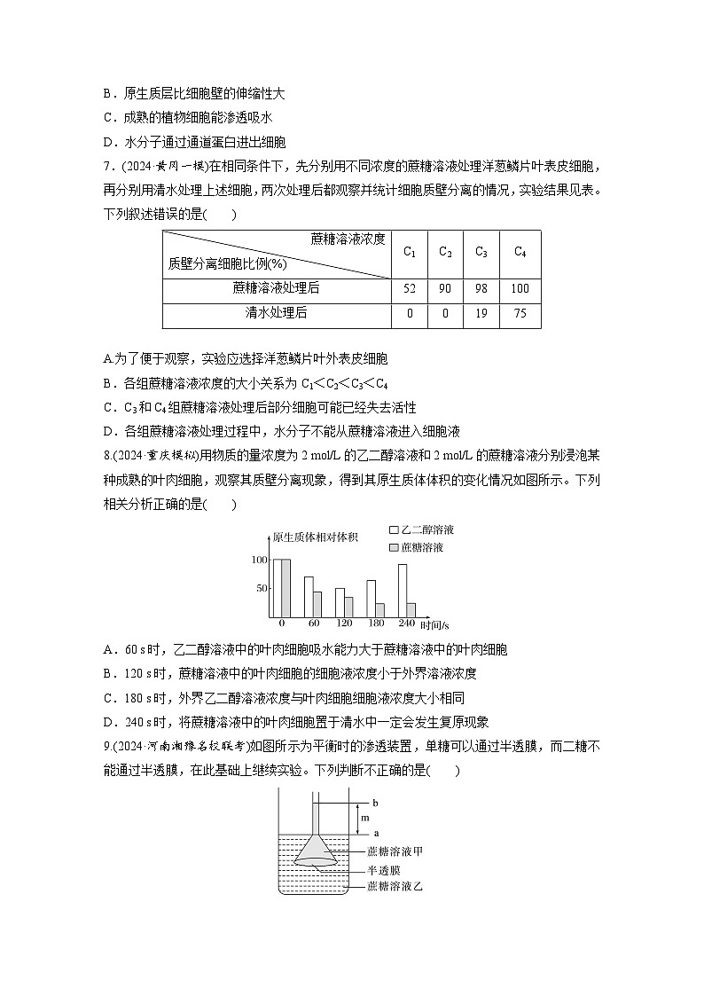 【备考2026】高考生物一轮复习资源：第2单元 课时练7 水进出细胞的原理（课时精练）（学生版）第3页