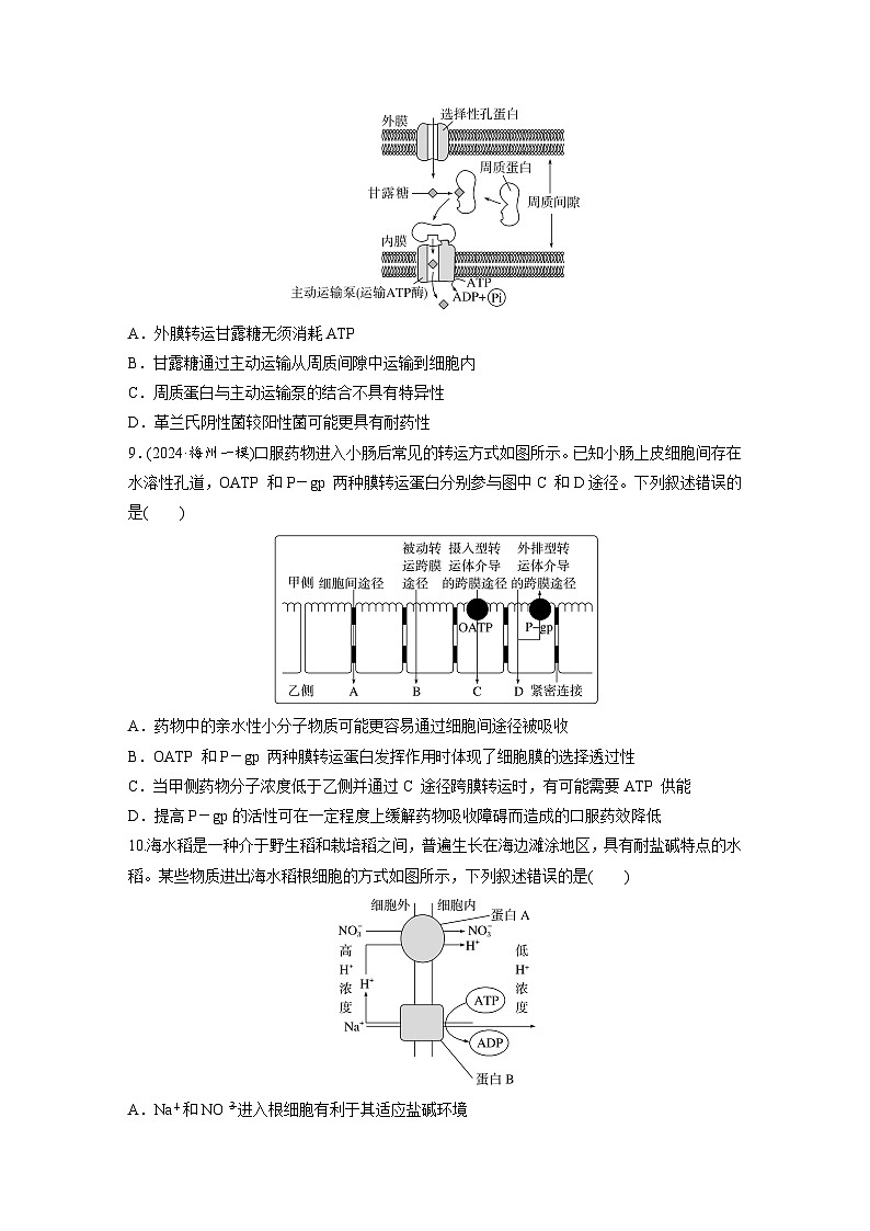 【备考2026】高考生物一轮复习资源：第2单元 课时练8 物质进出细胞的方式及影响因素（课时精练）（学生版）第3页