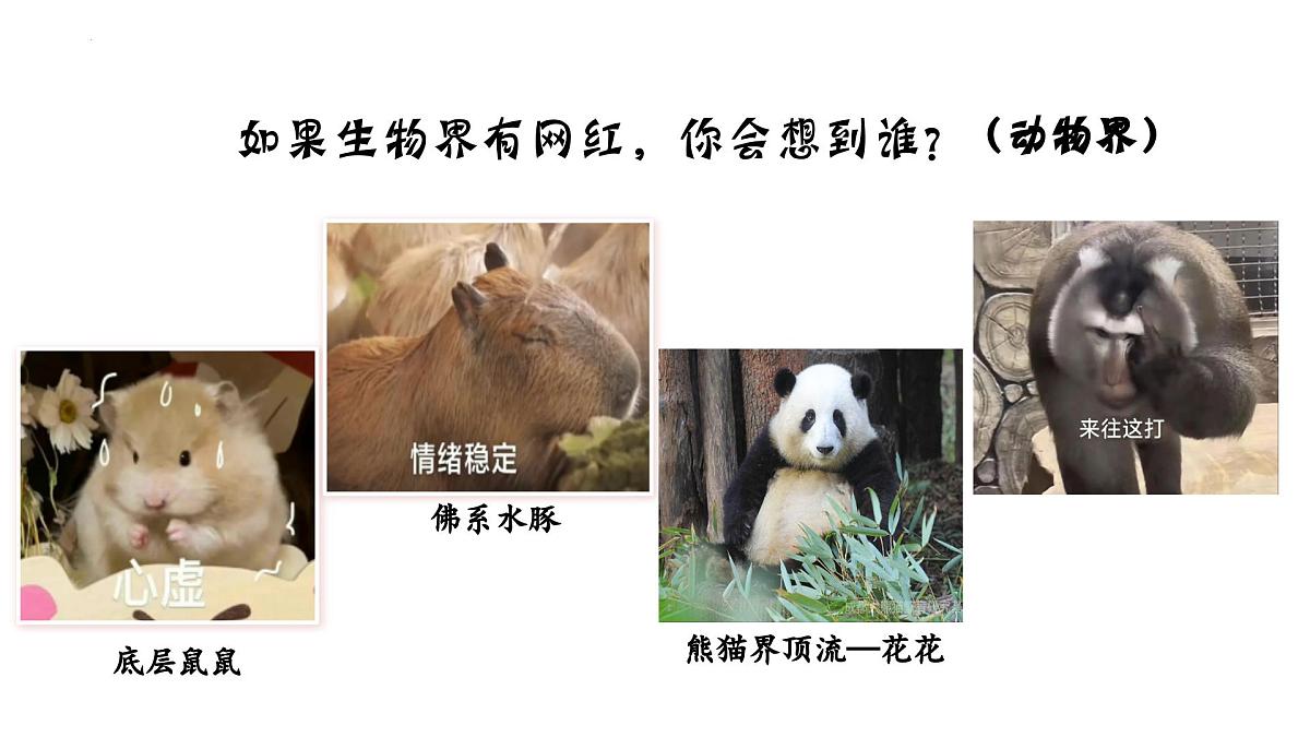 高三生物秋季开学第一课课件（全国通用）第4页