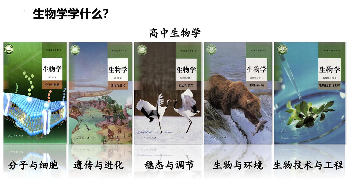 高三生物秋季开学第一课课件（全国通用）第7页