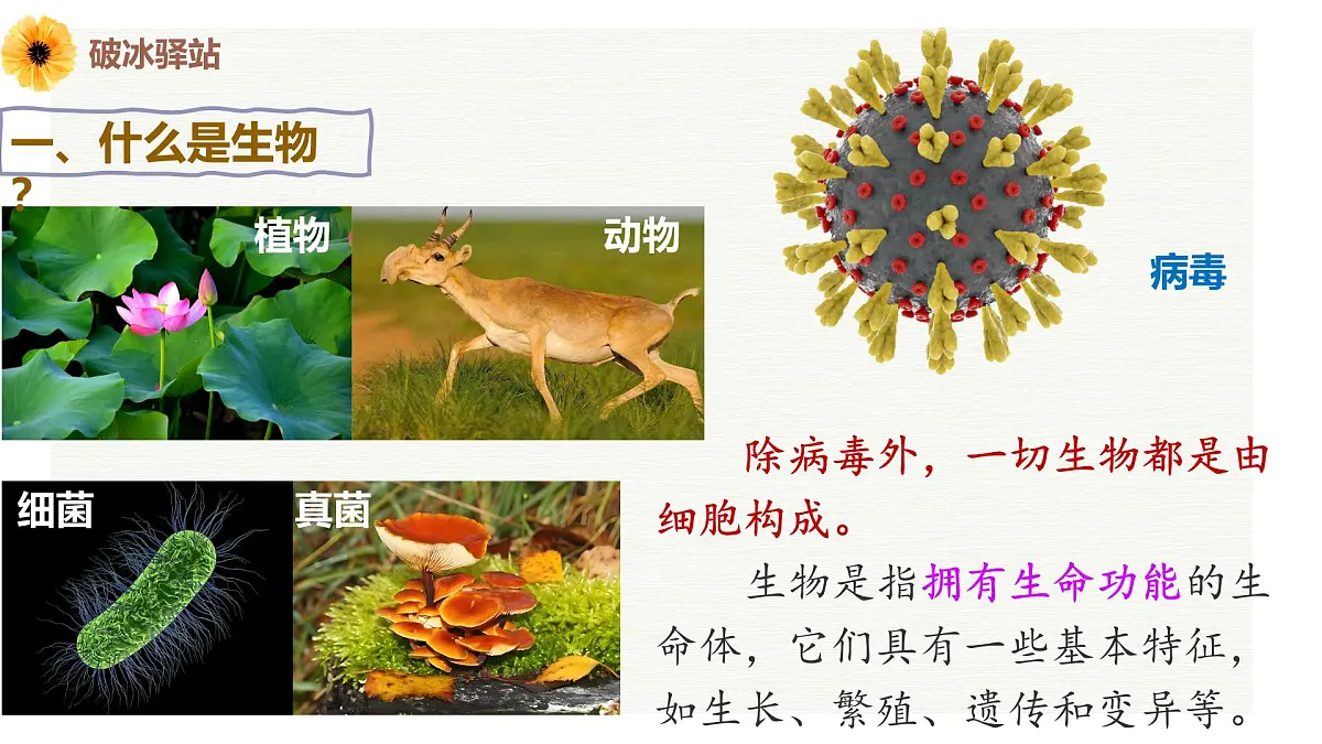 高一生物秋季开学第一课课件（全国通用）第5页