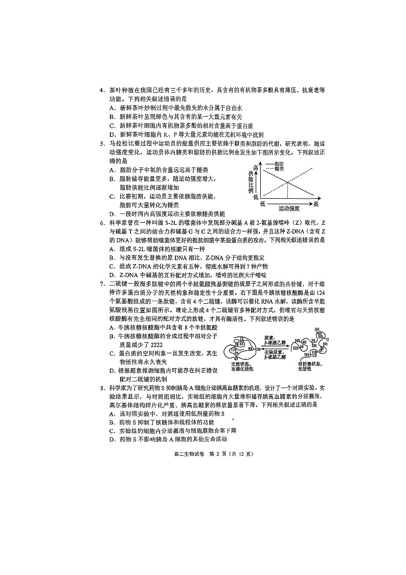 广东省大湾区2024-2025学年高二下学期7月期末考试生物试题第2页