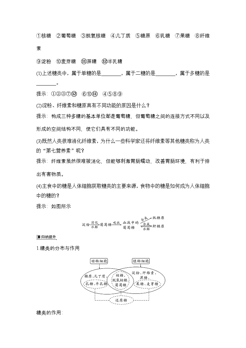 第3节　细胞中的糖类和脂质 学案高中生物学人教版（2019）必修1第3页