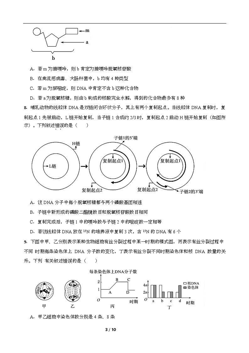 高一期末生物试卷第3页