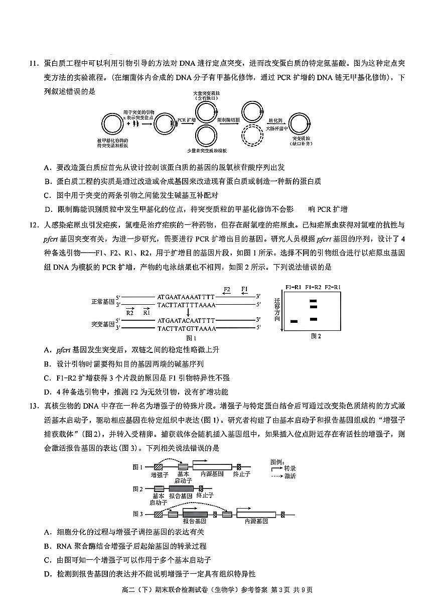 重庆市康德教育2024-2025学年高二下学期期末考试生物试题（PDF版附解析）第3页